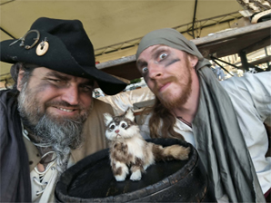 passe ton permis pirate